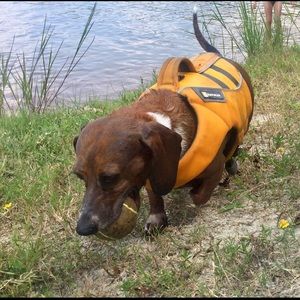 Meet your Posher, Katy